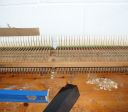 Gallery Photo 4