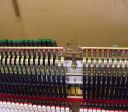 Gallery Photo 11