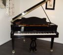 Gallery Photo 13