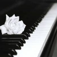Photo - Tuneover Piano Tuning