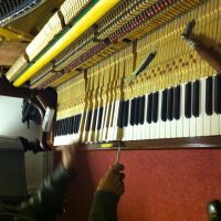 Photo - Galleria Musical Pianos
