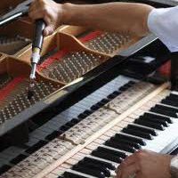 Photo - PianoTech