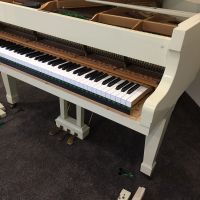 Photo - Gladstone piano repair service