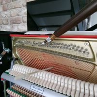 Photo - Claire Edwards Piano Tuning and Repairs
